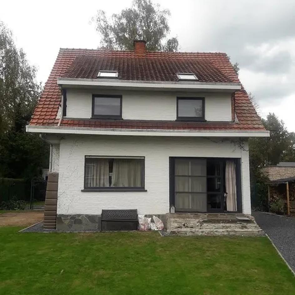 Dak avant de renovatie