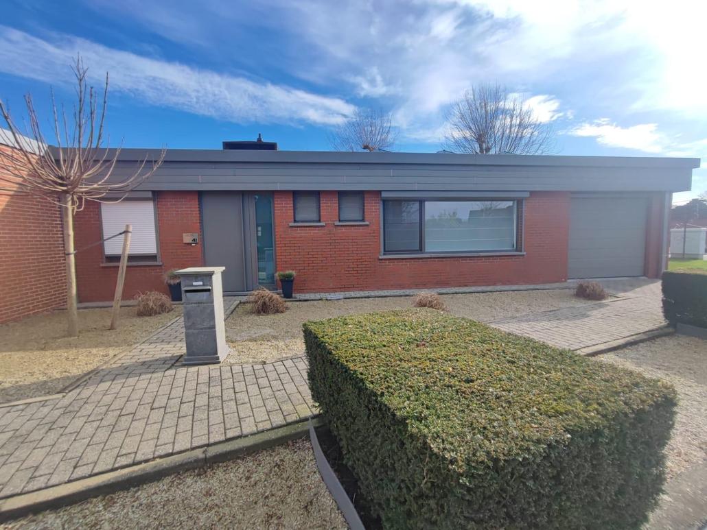 Liège projeté à Dendermonde