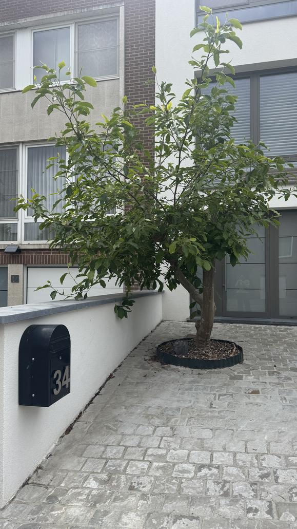 Rénovation de façade à Overijse avec crepi