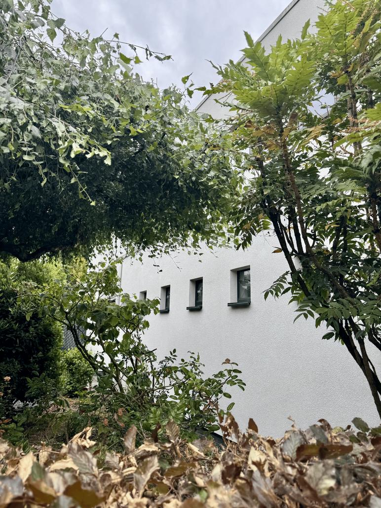 Liège projeté et isolation pour une maison à Wilrijk