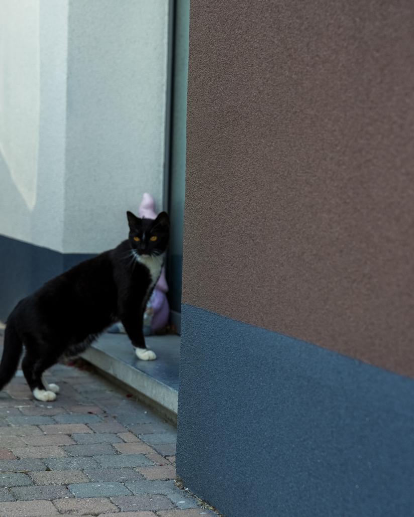 Façade et toiture rénovées avec liège projeté