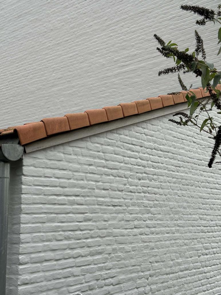 Enduit à la chaux et crepi à Grimbergen