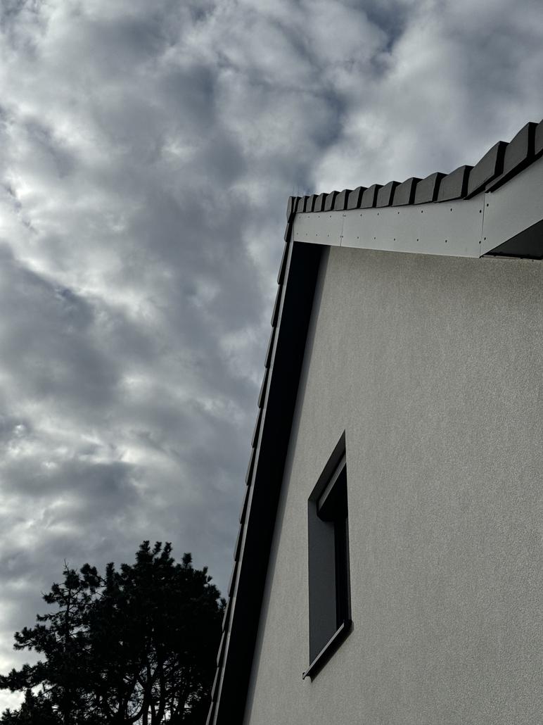 Rénovation de façade et de toit à Wortel