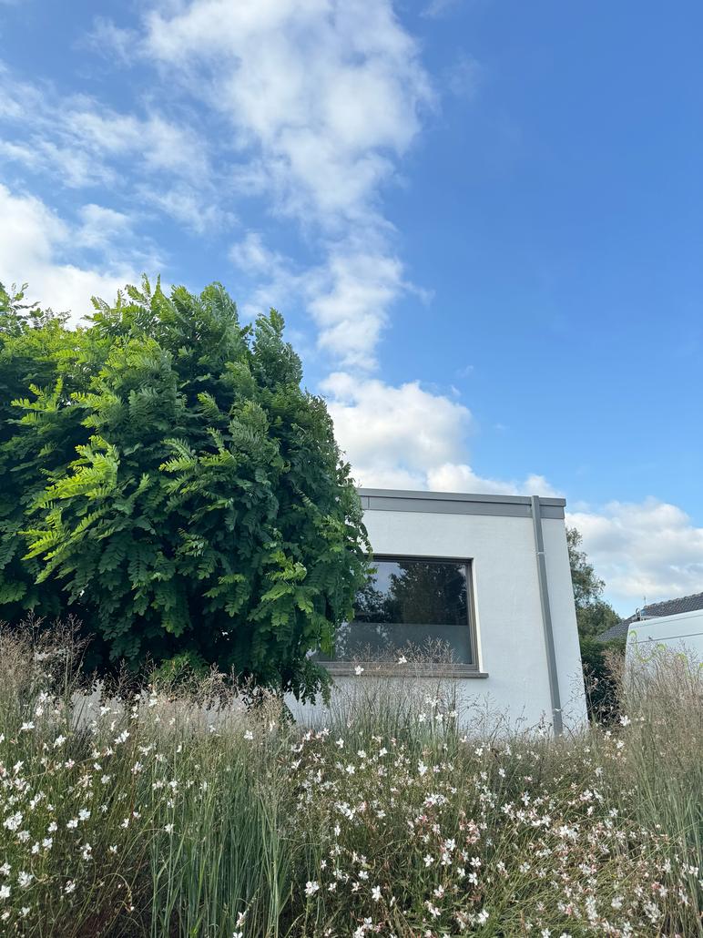 Crépi liège projeté Evergem