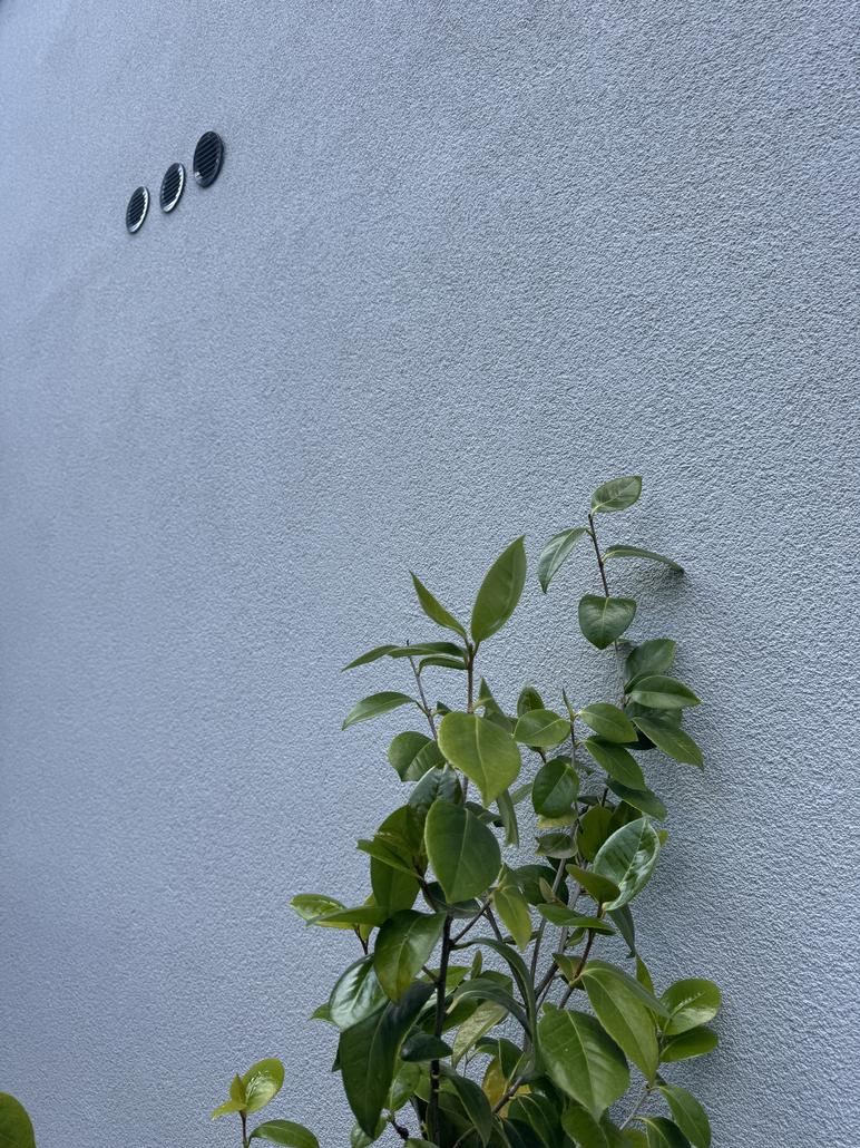 Rénovation de façade en crepi à Kalmthout