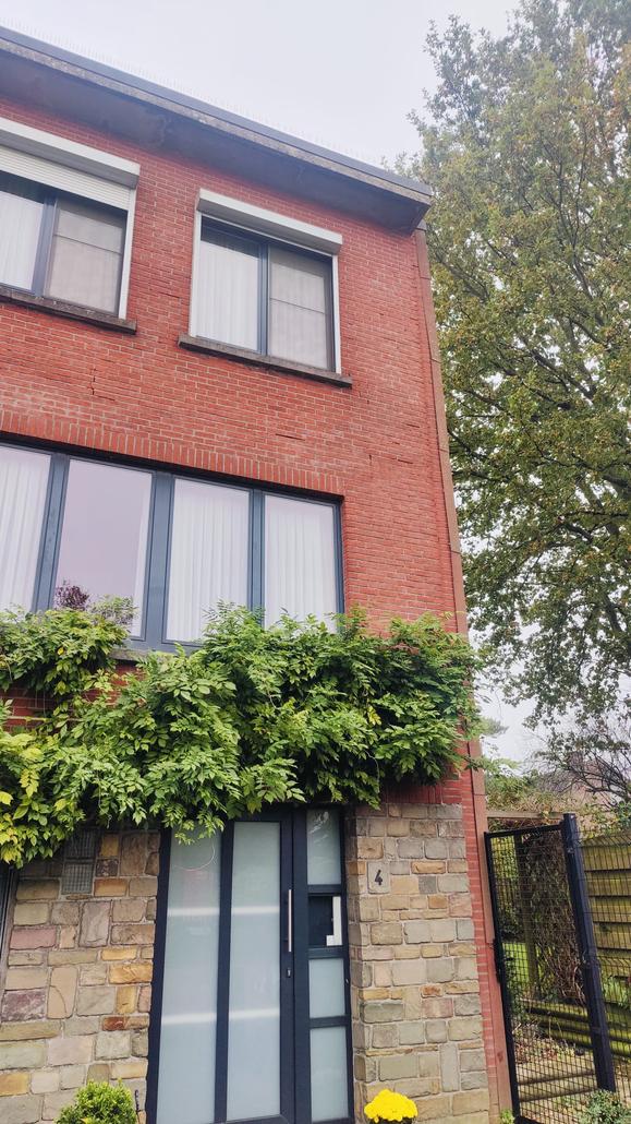 Rénovation de façade avec crepi à Kontich