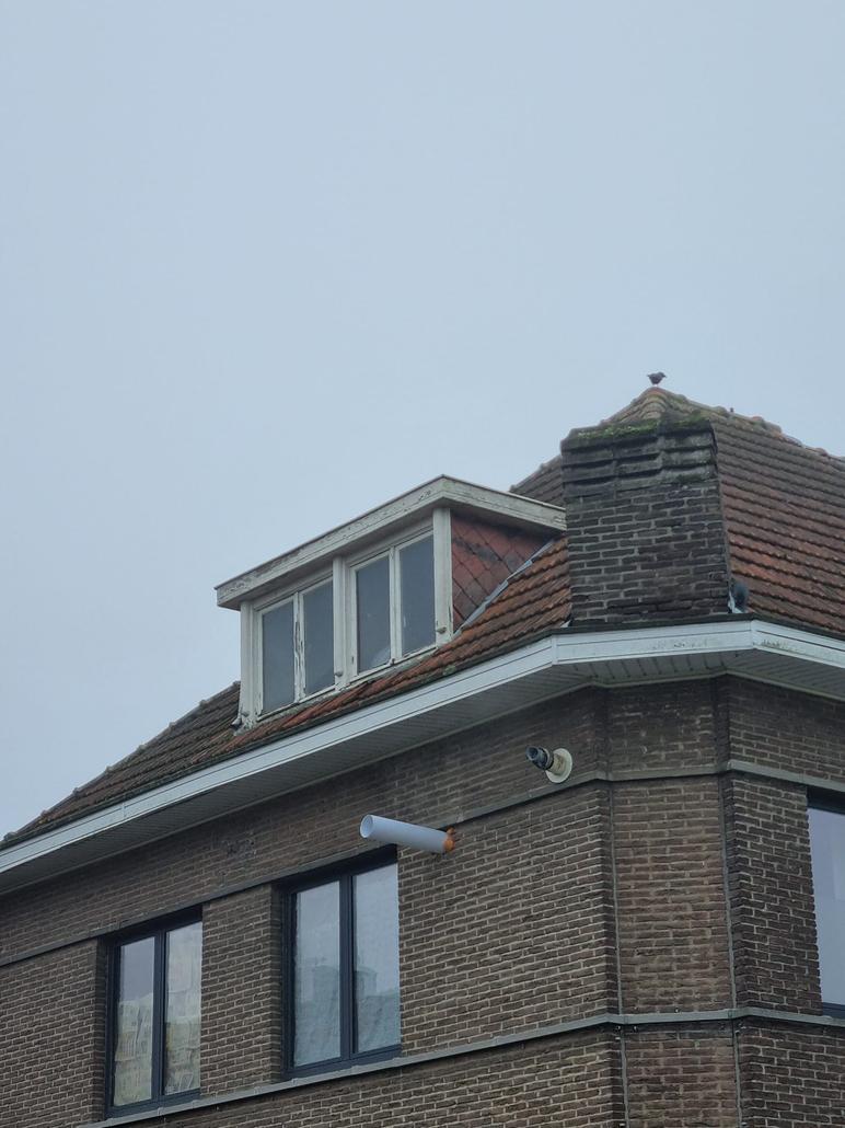 Dak- en gevelrenovatie Zwijndrecht