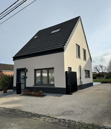 Spuitkurk op baksteen Aalter