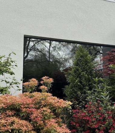 Witte gevel in crepi voor woning in Poppel