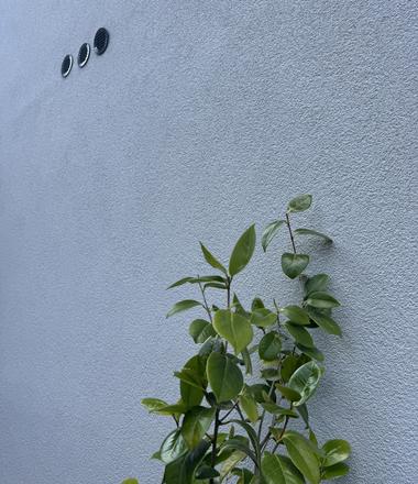 Gevelrenovatie in crepi Kalmthout