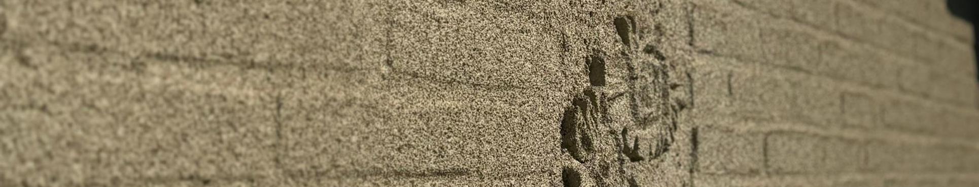 Liège projeté directement sur la maison à Melle